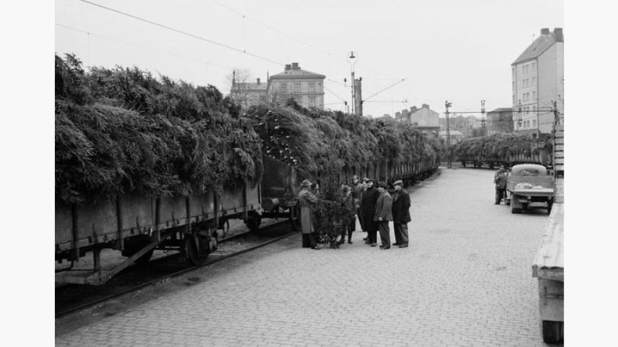 Södra station, 1953 
